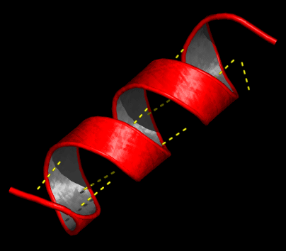 helice: estructura secundaria de proteínas