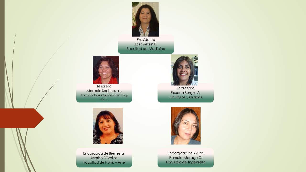 ORGANIGRAMA