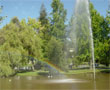 Universidad de Concepción
