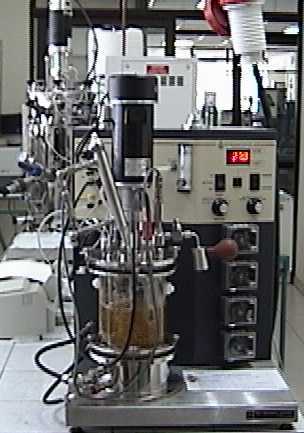 InstrumentosIII.jpg (22110 bytes)