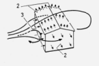 Copia de image009.gif (5537 bytes)