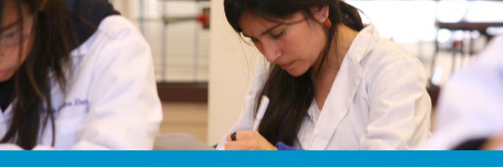 imagen licenciatura