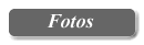 Fotografas del torneo anterior