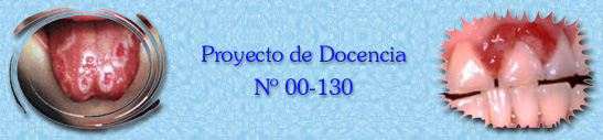 Proyecto de Docencia Nro. 00-130