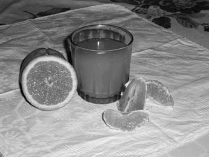 naranjas.jpg (17893 bytes)