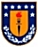Universidad de Concepcin