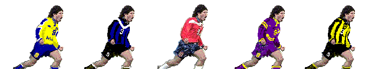 camisetapuesta.gif (13531 bytes)