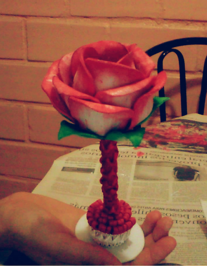 rosa frontal