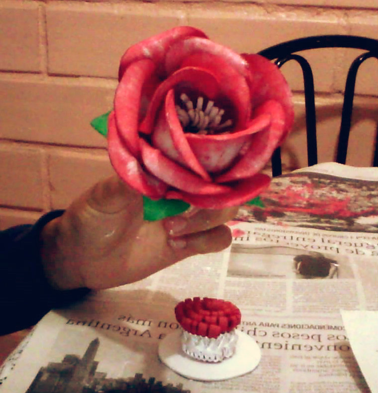 rosa. arriba