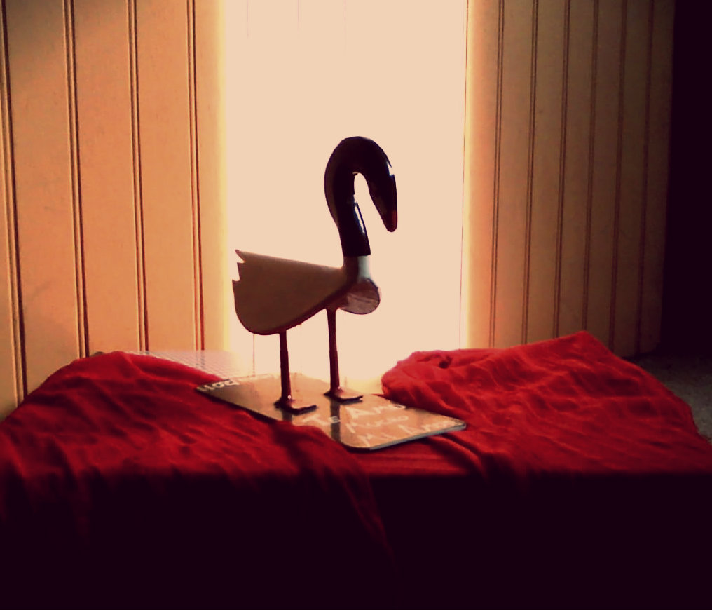 Cisne