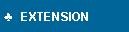 Cuadro de texto:   EXTENSION