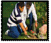 image015.png