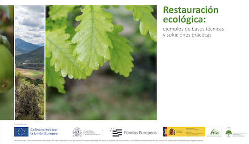 Captura de pantalla 2026-03-29 a la(s) 9.59.17 p.m.