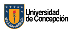 Universidad de Concepcin