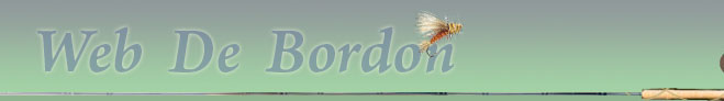 Web De Bordon