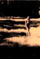 dn11.jpg (1992 bytes)