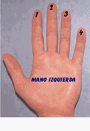 Mano izquierda 