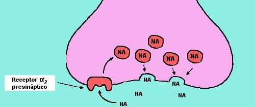 psynane.jpg (29655 bytes)
