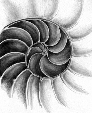 Caracol