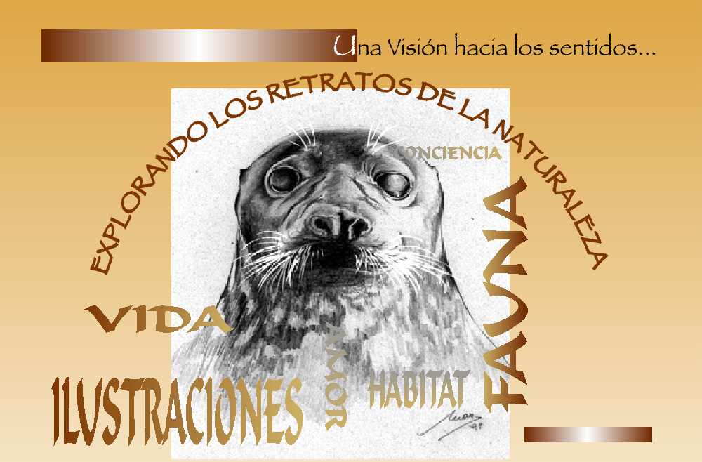 Explorando los Retratos de la Naturaleza