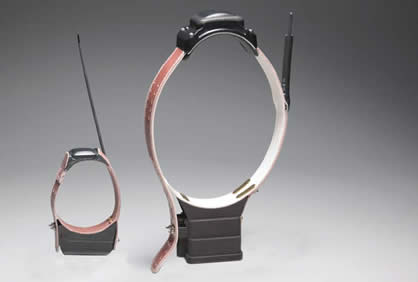Collar