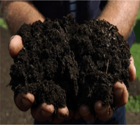 compost