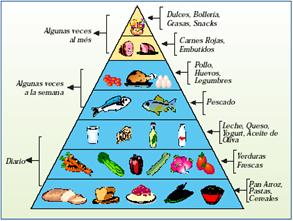 piramide alimentos