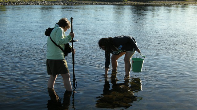 45_Electrofishing