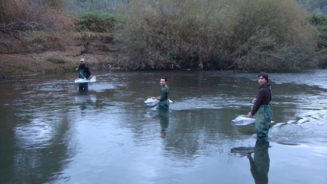 53_Helley Smith sampling