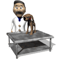 U* Veterinaria