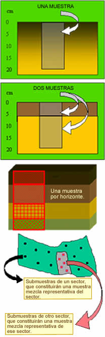 Análisis De Suelo.